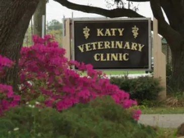 Katy Veterinary Clinic sign beside bright pink flowers and a tree