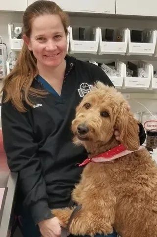 Woman holding a curly-haired dog in a vet clinic, with pet carriers in the background.