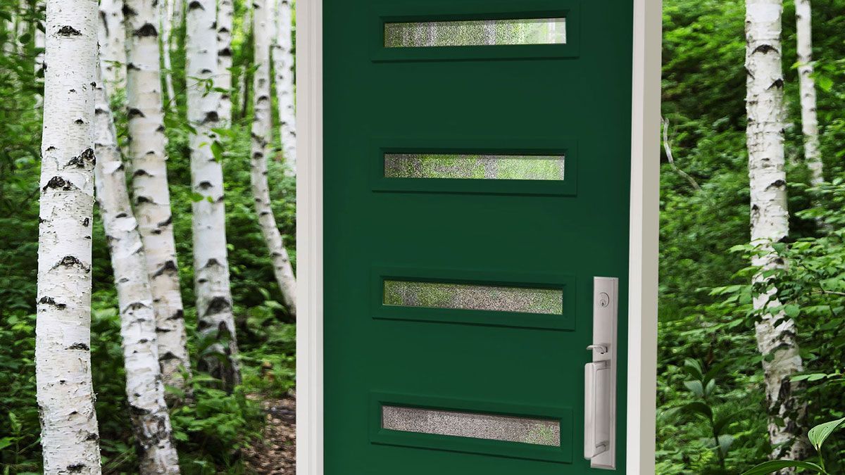 a green door is surrounded by white birch trees in a forest