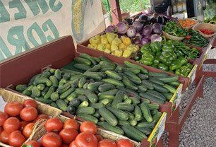 Fresh vegetables from farm