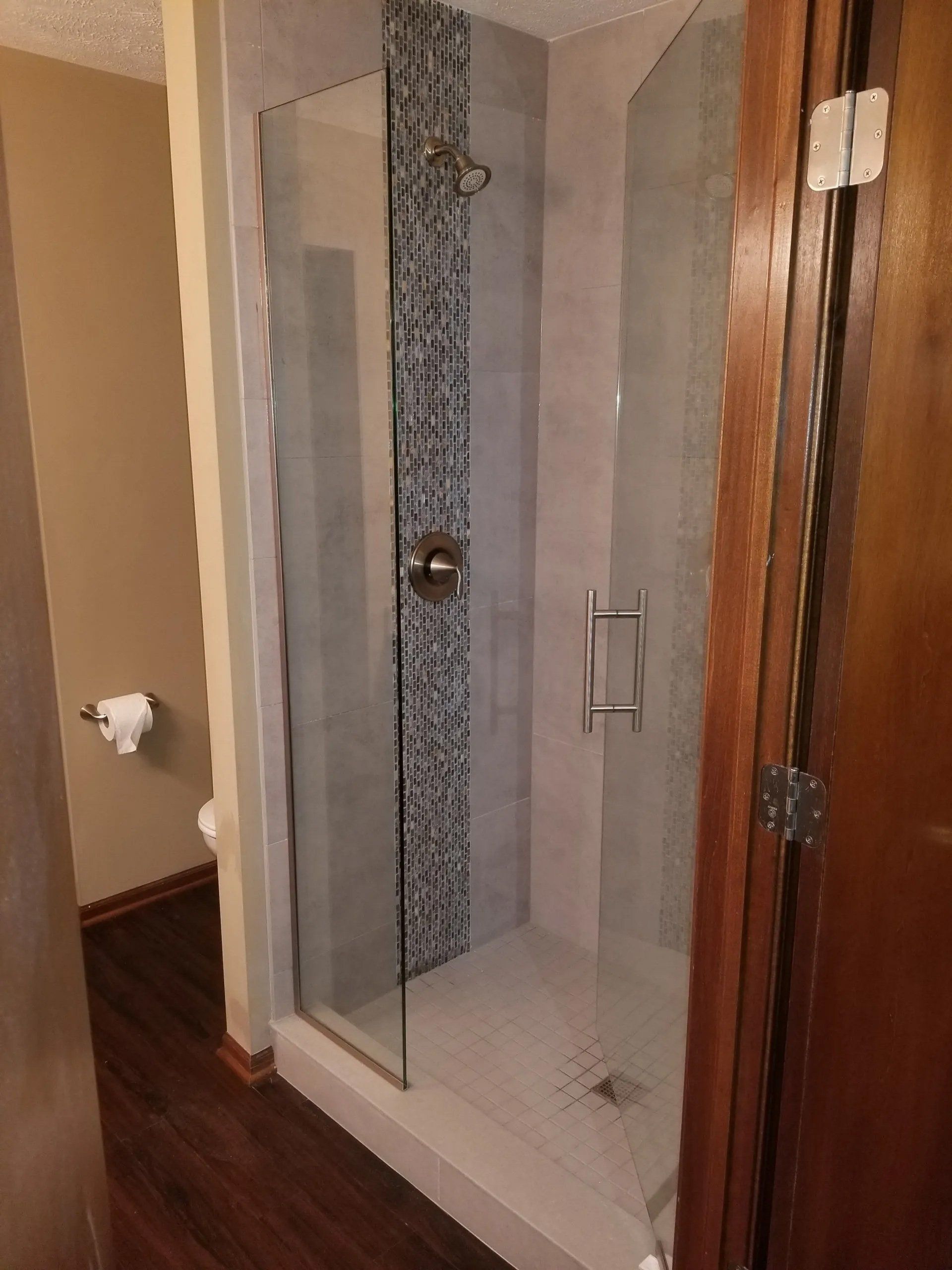 Shower Door