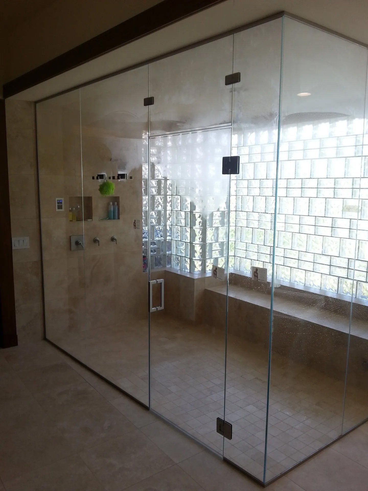 Shower Door