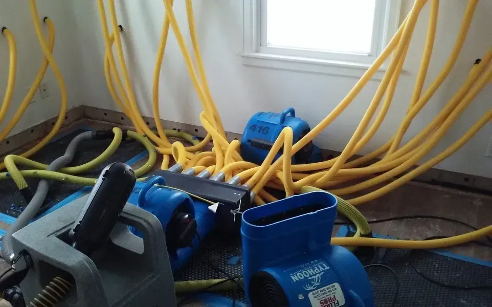 A room with a lot of yellow hoses and a blue dryer machine.