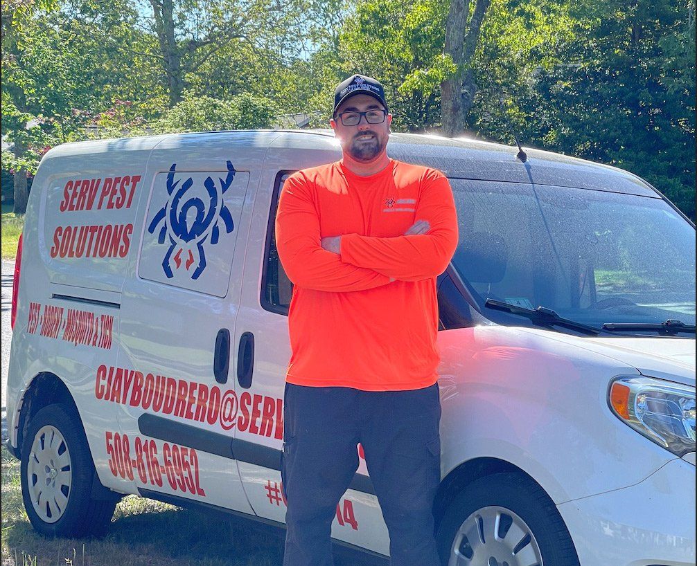 Pest Control Cape Cod South Yarmouth Serv Pest Solutions