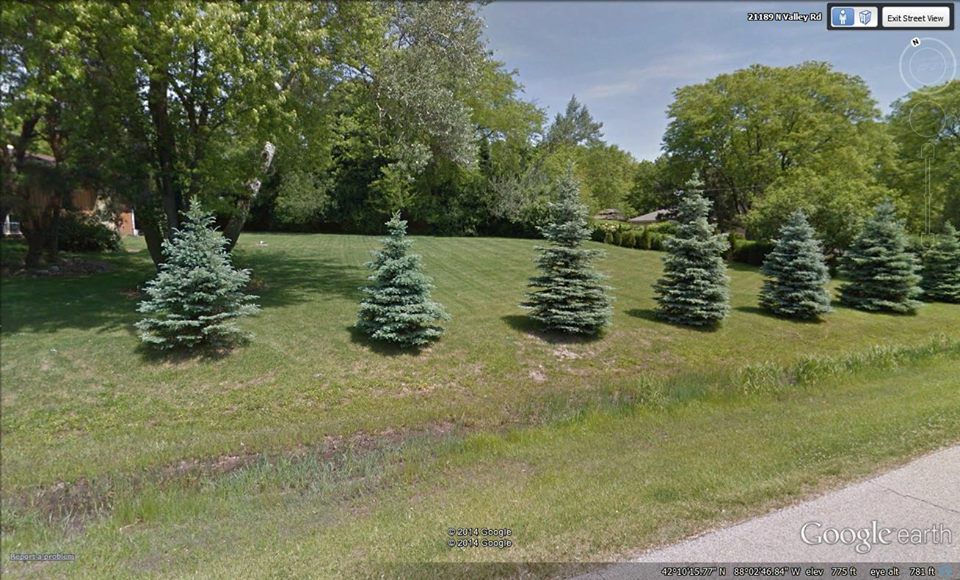A google map shows a lot of trees and grass