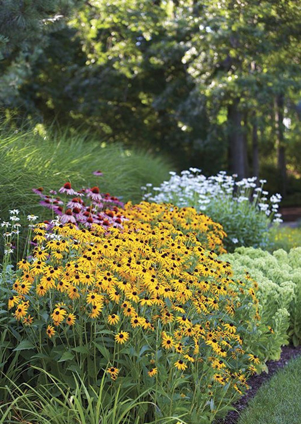 There are many different types of flowers in this garden