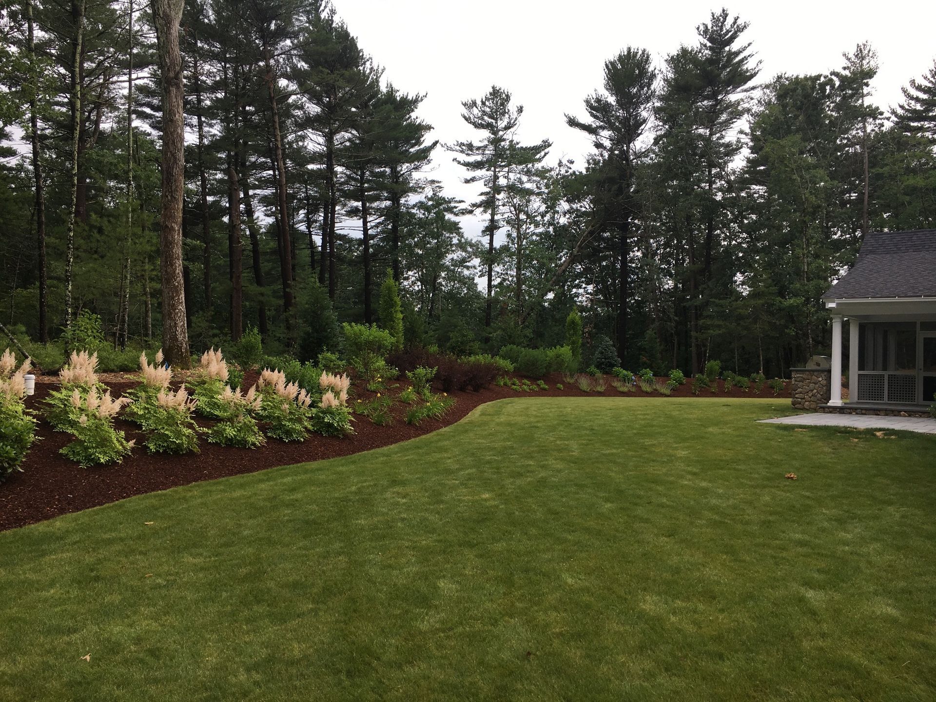 A large lawn in front of a house with trees in the background