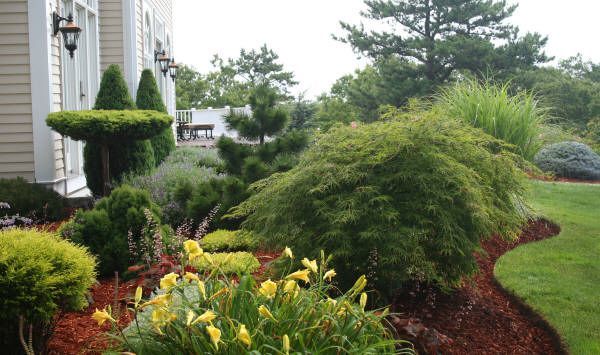 A lush green garden with flowers and trees in front of a house
