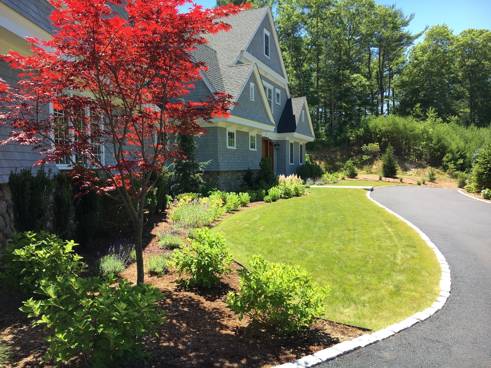 A curved driveway leading to a house with a tree in the foreground