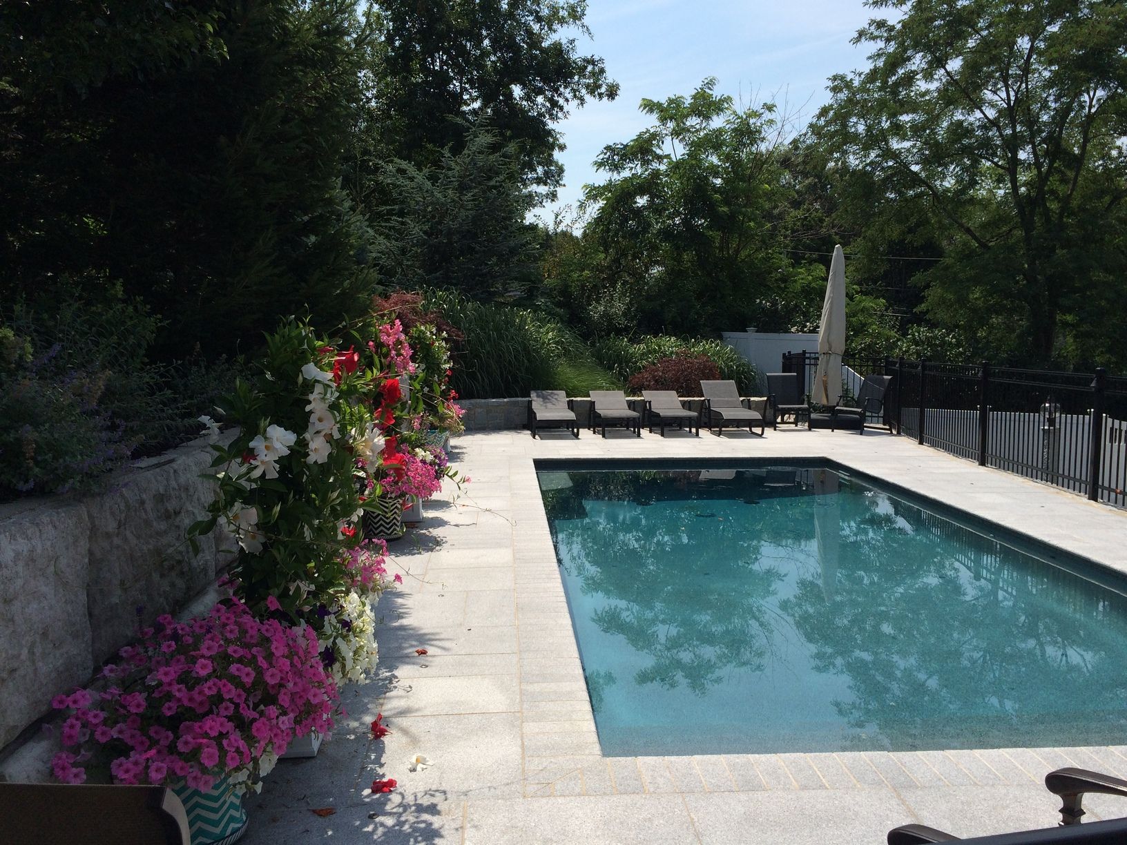 A large swimming pool surrounded by chairs and flowers