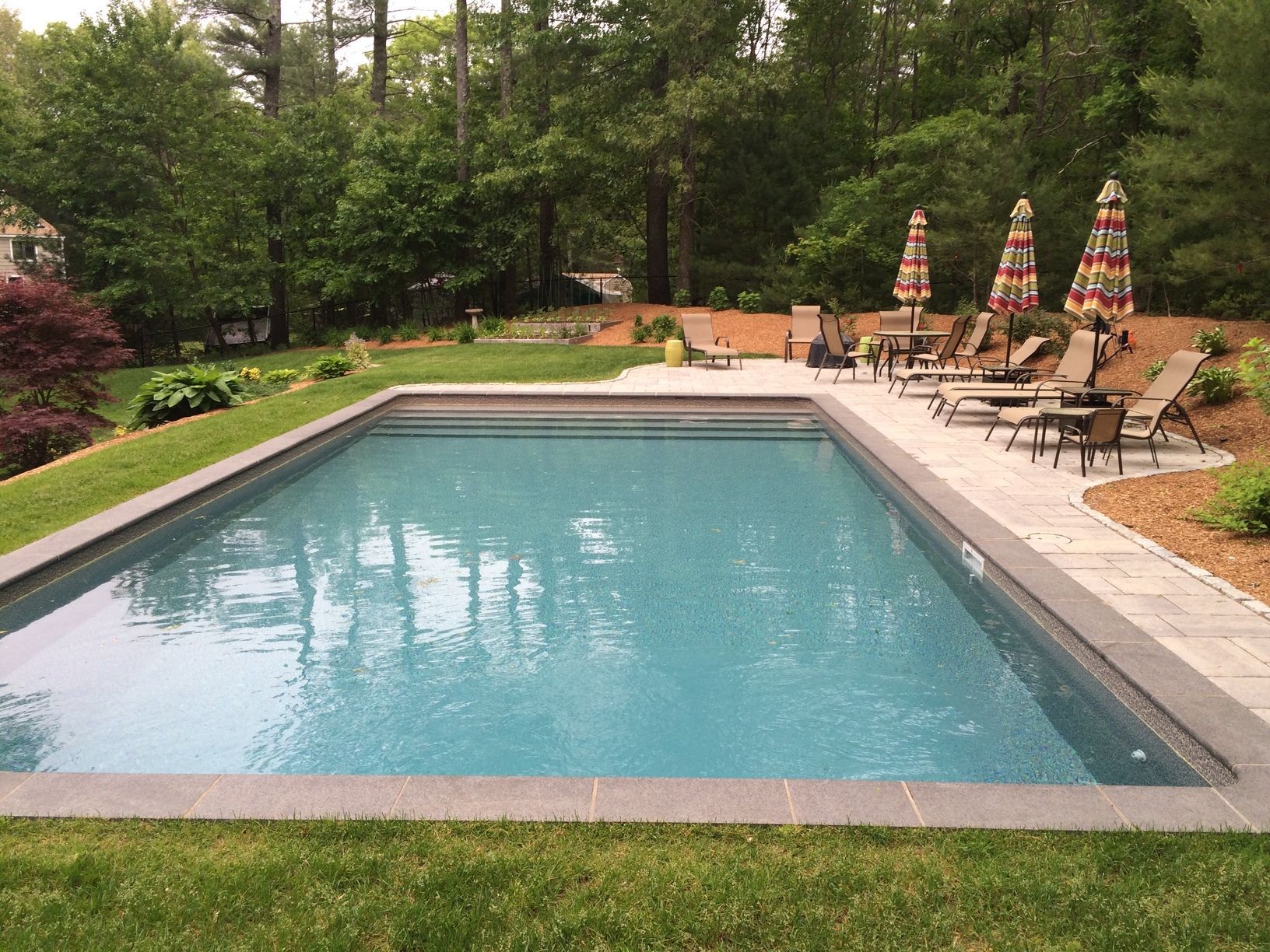 A large swimming pool surrounded by chairs and umbrellas in a backyard