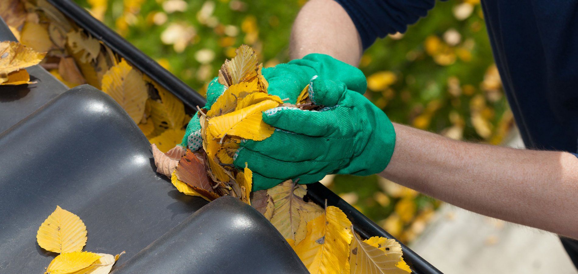 Window Butler Cleaning Contractors Cincinnati, OH