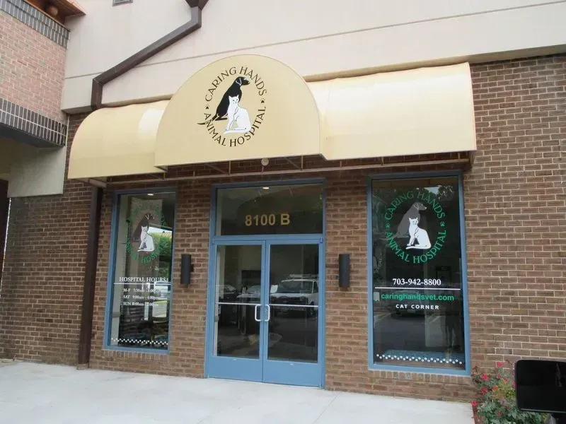 Animal hospital with a tan awning, blue doors, and glass windows. Located at 8103 B.