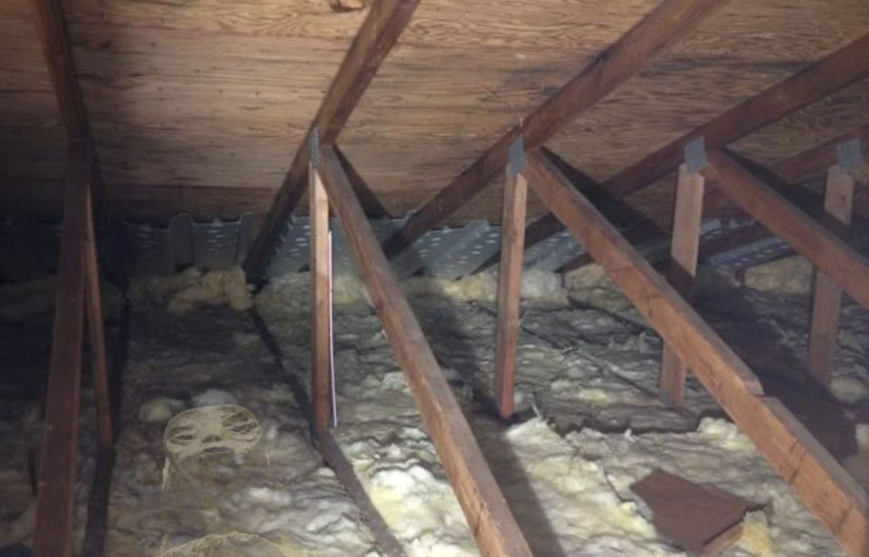 Photoshopped Alien in the attic insulation!