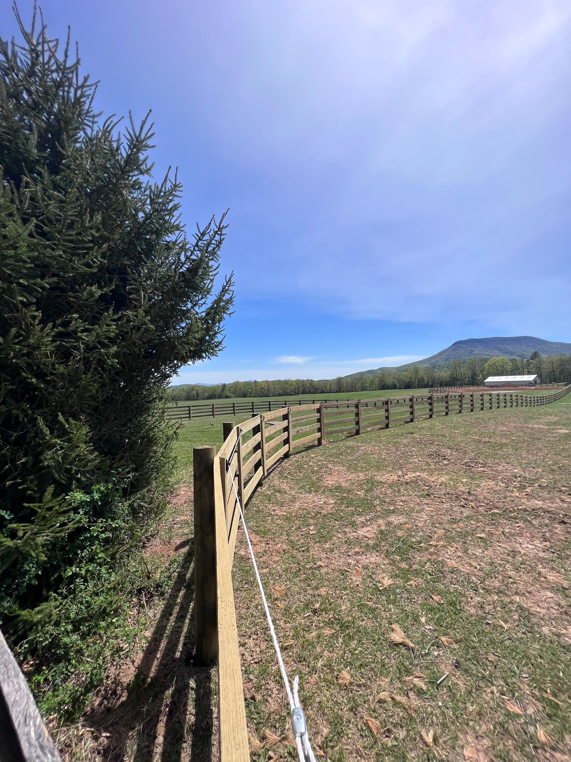 A wooden fence surrounds a grassy field with trees in the background.