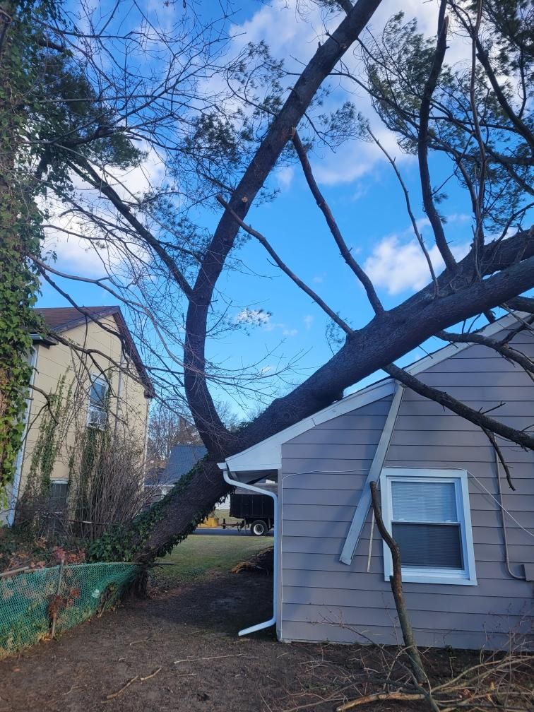 Tree branch fallen onto the roof of a gray house against a blue sky.