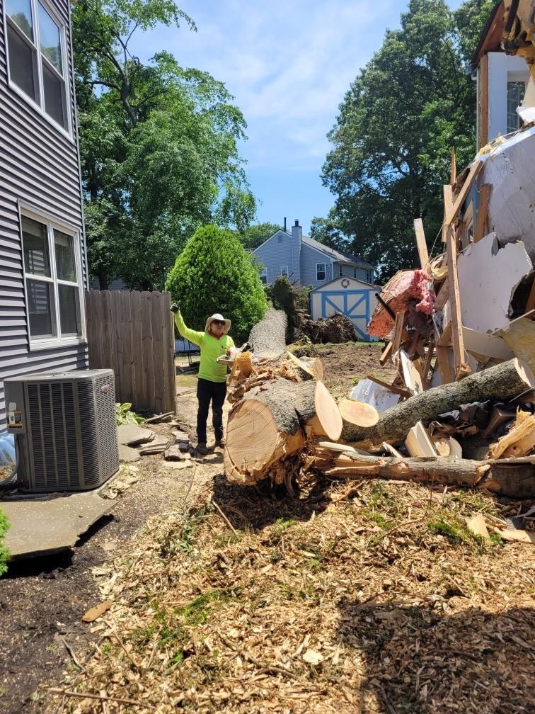 Person in yard with cut tree trunks and debris, pointing toward damaged house.