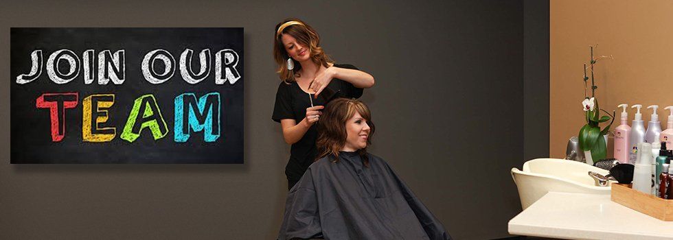 Stylist cutting the client's hair