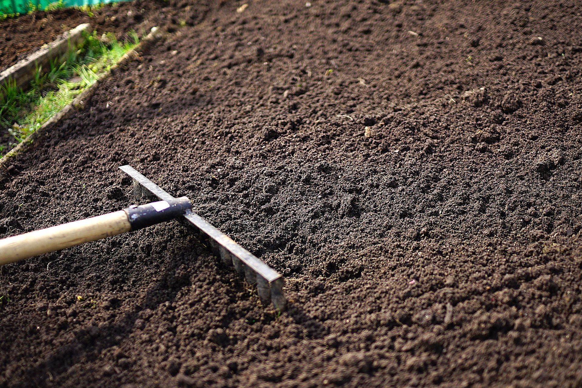 Garden rake resting on freshly tilled brown soil in a field.