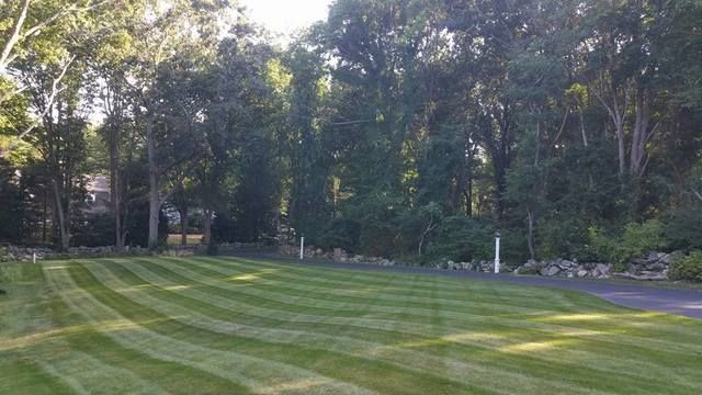 Striped green lawn beside a wooded backyard with trees and rocks along the edge