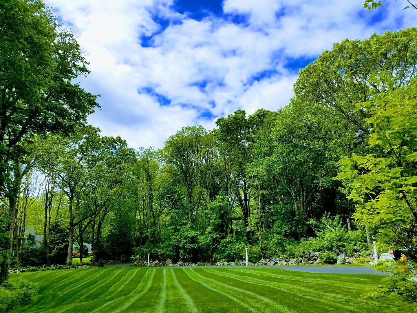 Lush green park with tall trees, a manicured lawn, and a bright blue sky with clouds