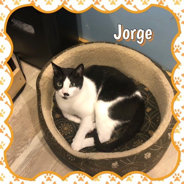 About Just fer Paws Kennels Gatlinburg, TN Staff