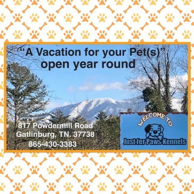 Just fer Paws Kennels Pet Day Care Gatlinburg, TN