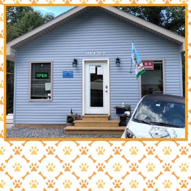 Just fer Paws Kennels Pet Day Care Gatlinburg, TN