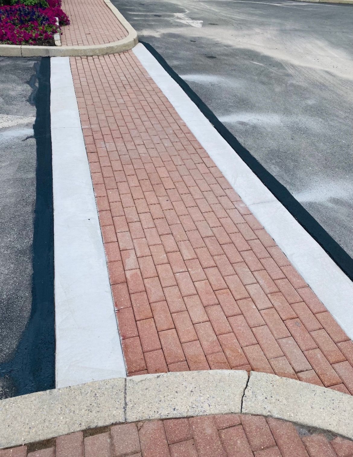 A brick walkway with a white line on it