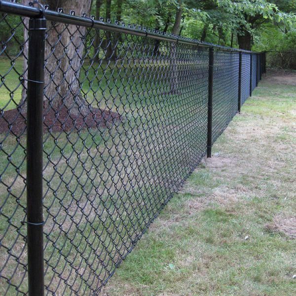 Chain-link fence along a grassy yard beside trees, receding into the distance