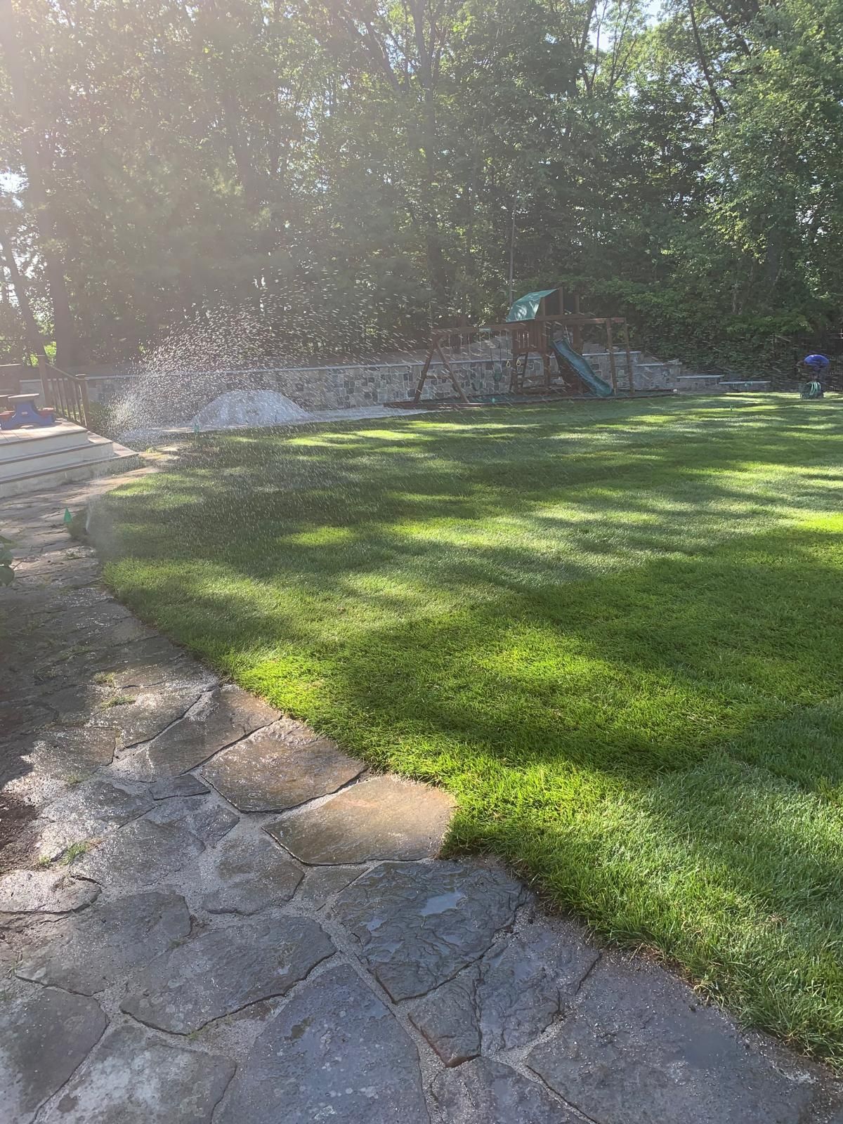 Sunny backyard with a stone path, green lawn, and trees in the background