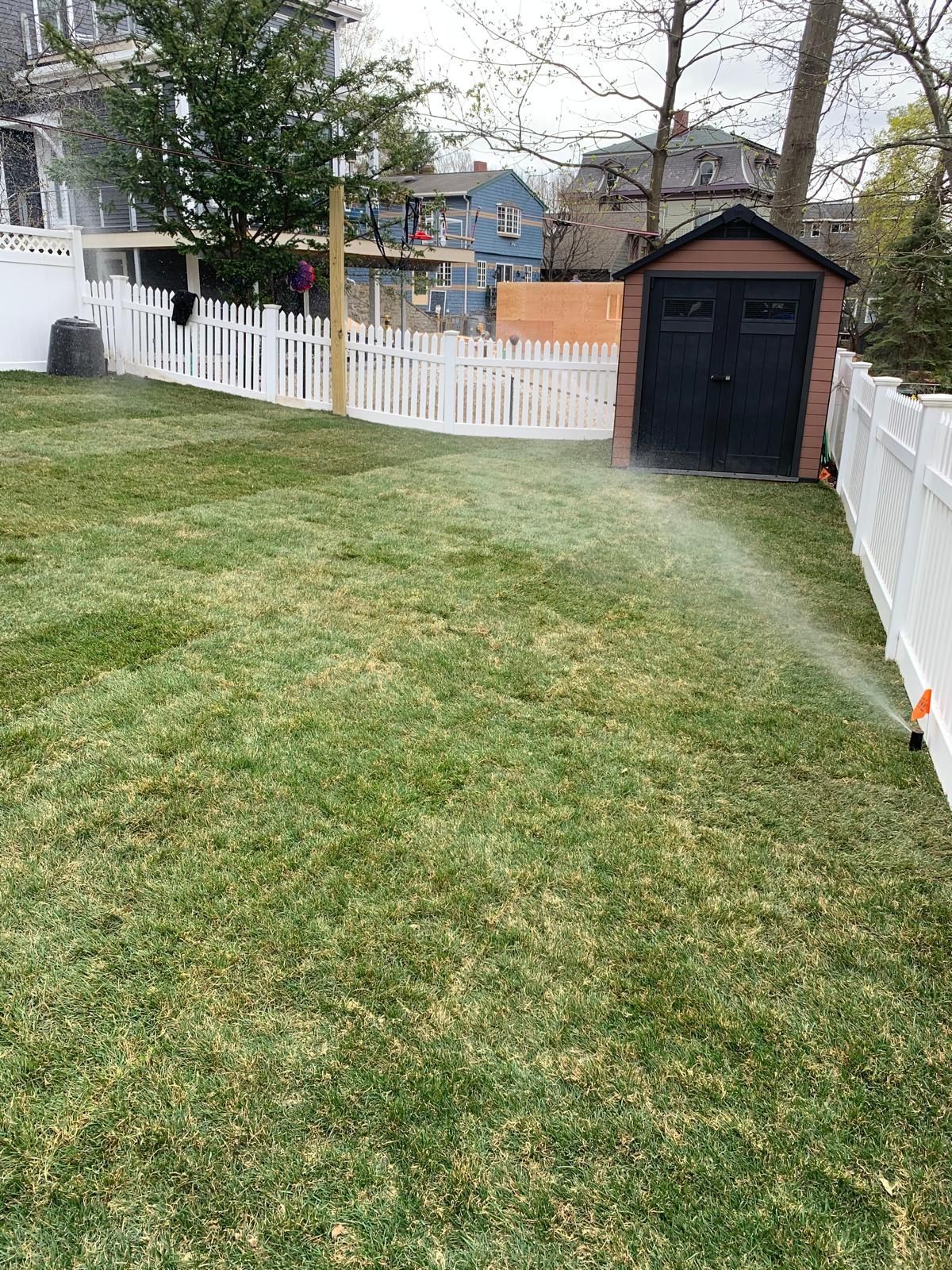 Backyard with green lawn, white fence, black shed, and neighboring houses in the background.