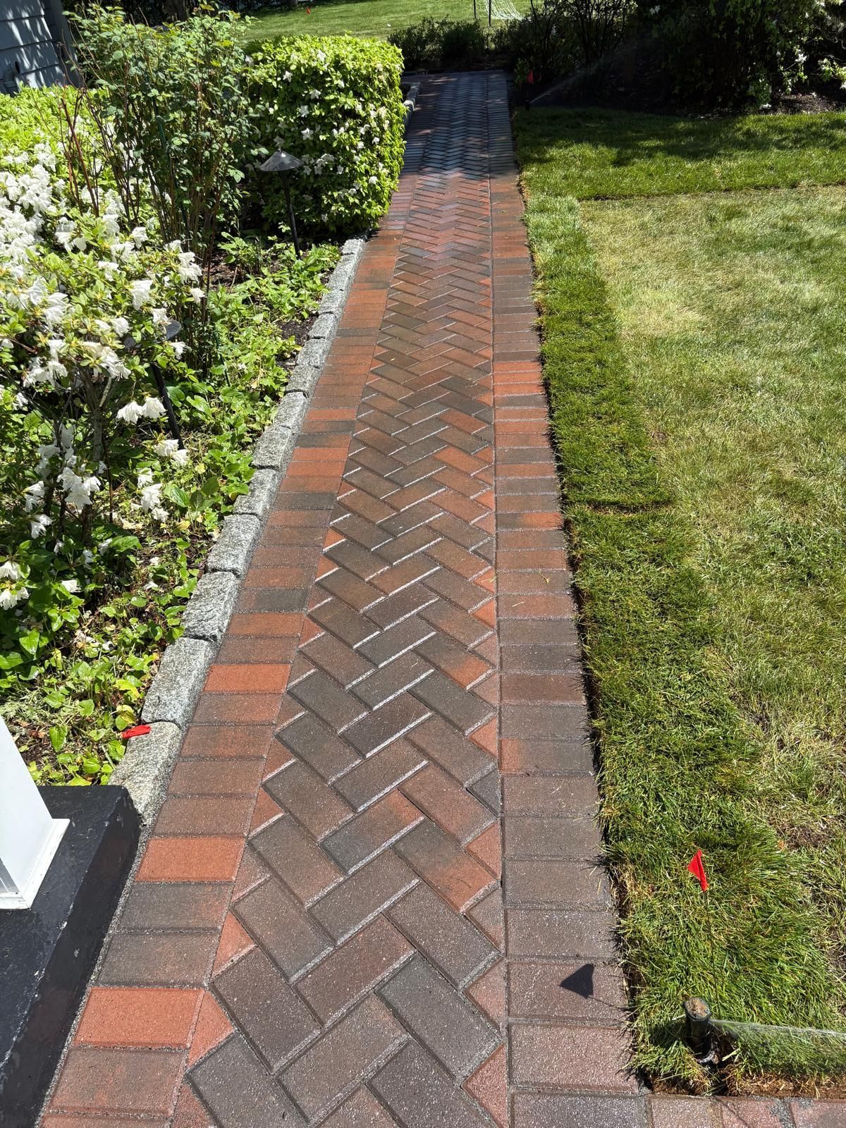 Brick garden path between hedges and lawn in bright sunlight
