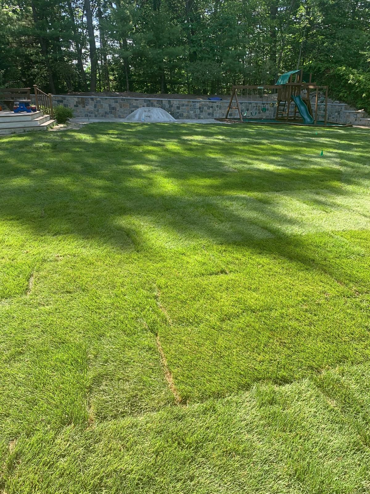 Sunlit grassy yard with trees and a low stone wall in the background