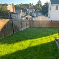 Backyard with green lawn, wooden fence, and houses in the background in bright sunlight