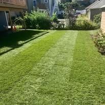 Freshly mowed green backyard lawn with a striped pattern, bordered by houses and shrubs