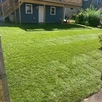 Freshly mowed green lawn in front of a small blue house with a porch and trees nearby
