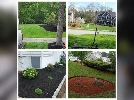 Before-and-after lawn landscaping: green grass, black mulch flower beds, and newly planted shrubs in a yard.