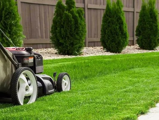 Lawn mower cutting green grass in a suburban yard with trees and a wooden fence