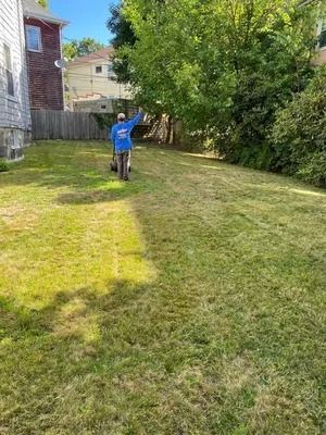 Person in a blue shirt standing in a grassy backyard, pointing toward the trees.
