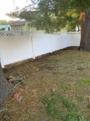 Backyard with a white fence, two large trees, and patchy grass under daylight