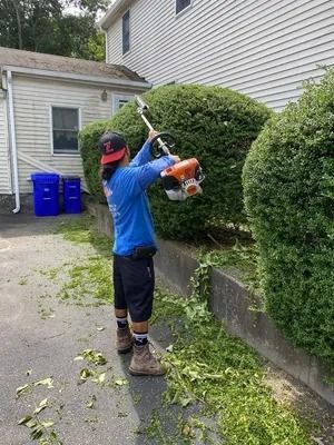 Person using a string trimmer to cut weeds along a hedge beside a driveway and garage
