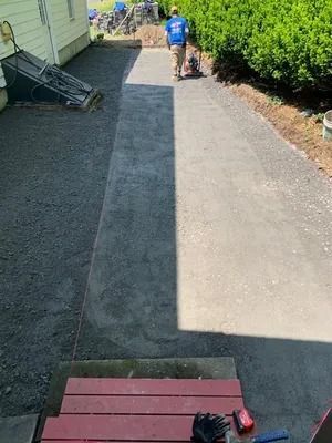 Person walking a dog down a sunlit paved path beside a house and shrubs