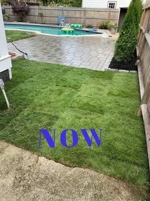 Backyard lawn and patio by a pool, with fresh green grass marked “NOW” in blue.