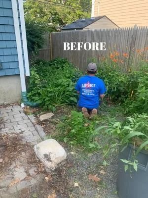 Person kneeling in overgrown garden beside a fence labeled “BEFORE”