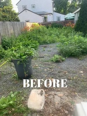 Overgrown backyard with a potted plant and brick path, labeled “BEFORE”