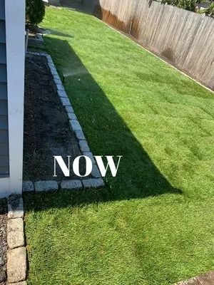Backyard lawn with green grass beside a house and wooden fence, labeled “NOW”
