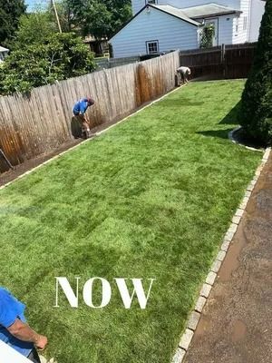 Freshly mowed backyard lawn with a worker edging along the fence under the word “NOW”