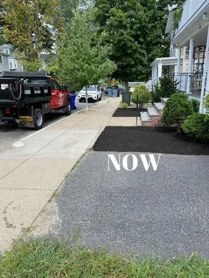 Residential sidewalk and driveway with parked cars, houses, trees, and the word “NOW” painted on the pavement