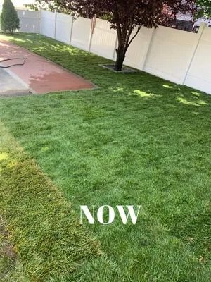 Backyard lawn with green grass, a tree, white fence, and a red walkway; “NOW” text over the grass.